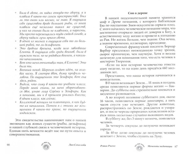 Дополнительное изображение книги «Рэйки Риохо. Моменты медитации»