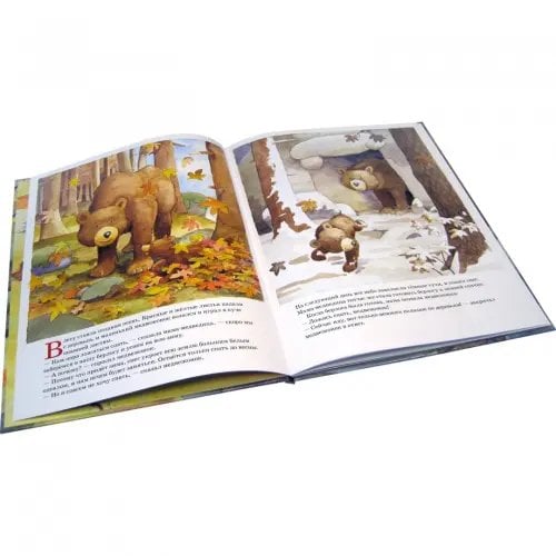 Дополнительное изображение книги «Ложись спать, медвежонок!»