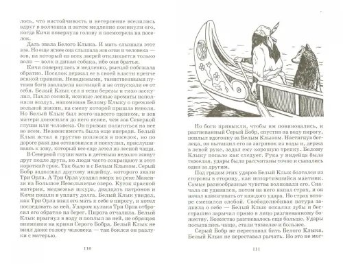 Дополнительное изображение книги «Белое безмолвие»