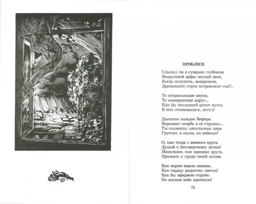 Дополнительное изображение книги «"Я встретил Вас...". Документальная повесть Г. В. Чагина "Поэт гармонии и красоты"»