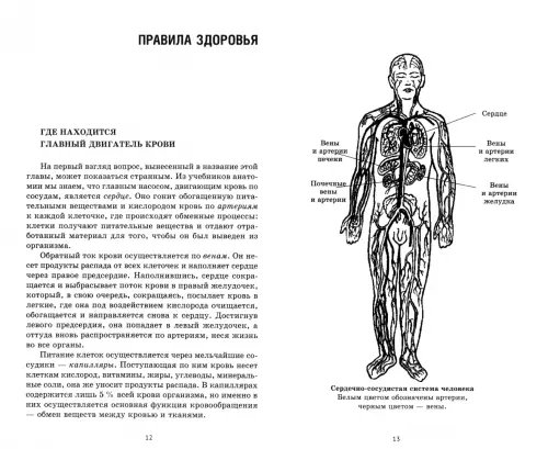 Дополнительное изображение книги «Золотые правила здоровья»