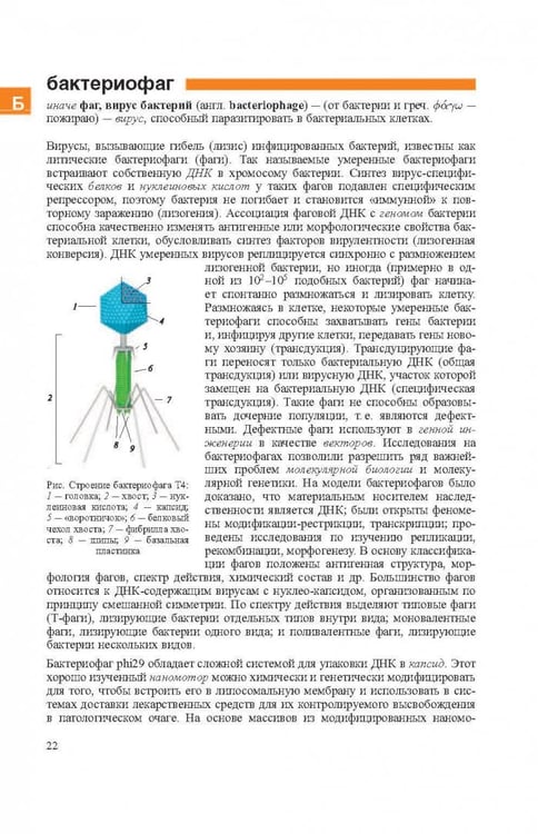 Дополнительное изображение книги «Словарь нанотехнологических и связанных с нанотехнологиями терминов»