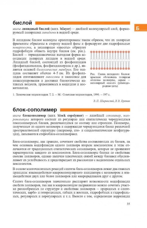 Дополнительное изображение книги «Словарь нанотехнологических и связанных с нанотехнологиями терминов»