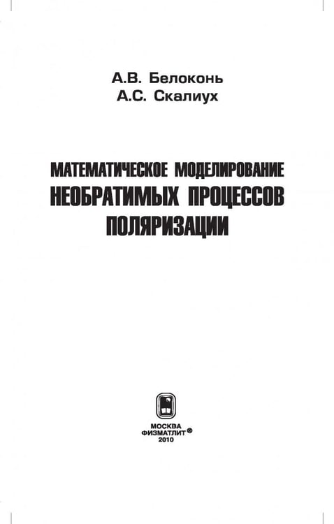 Дополнительное изображение книги «Математическое моделирование необратимых процессов поляризации»