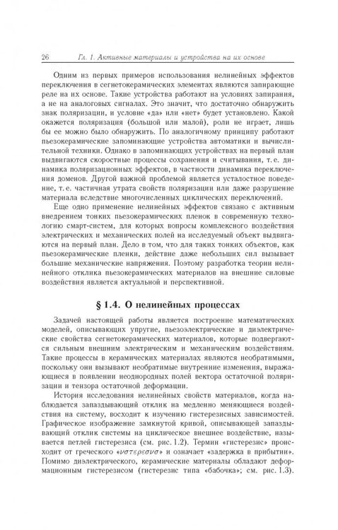 Дополнительное изображение книги «Математическое моделирование необратимых процессов поляризации»