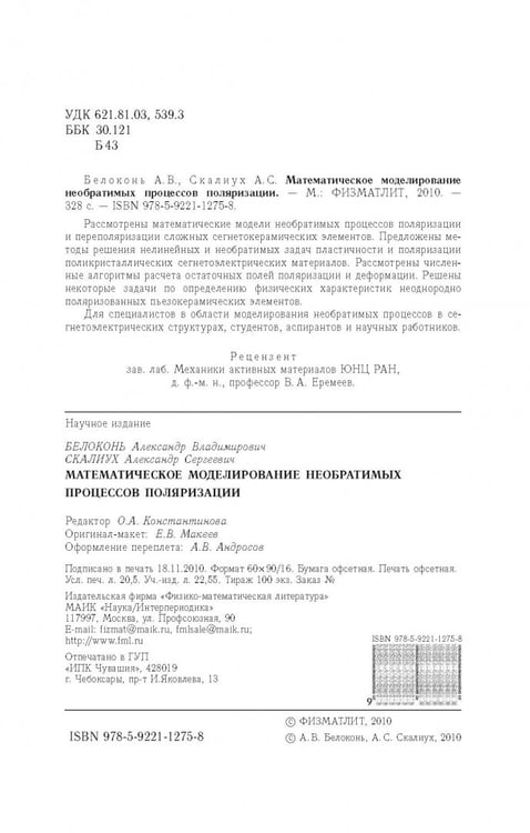 Дополнительное изображение книги «Математическое моделирование необратимых процессов поляризации»