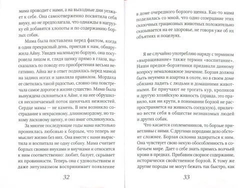 Дополнительное изображение книги «Айна»
