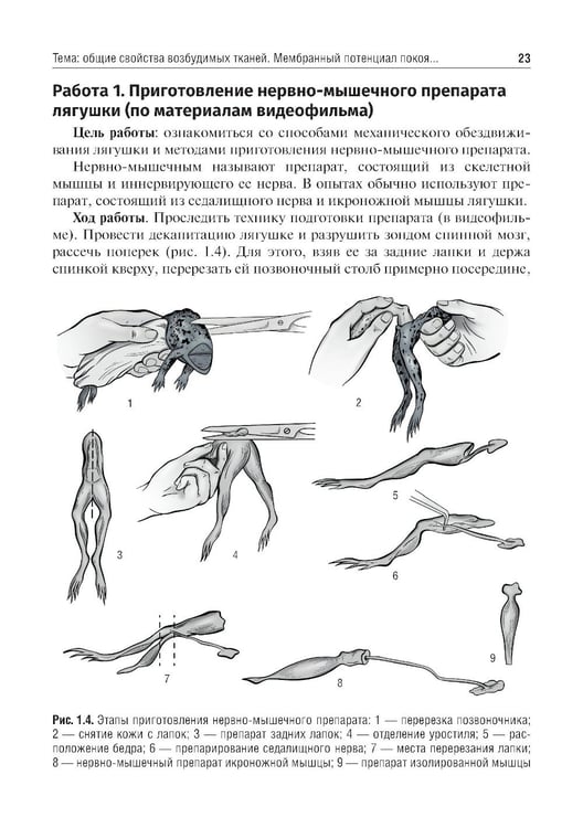 Дополнительное изображение книги «Нормальная физиология. Руководство к практическим занятиям»