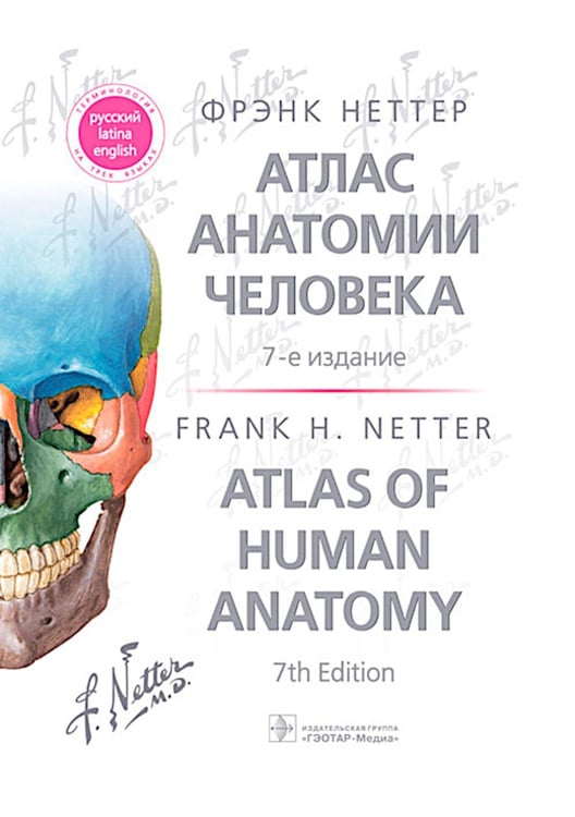 Обложка книги «Атлас анатомии человека. 7-е изд» — Неттер  Фрэнк Г., ISBN 9785970486122