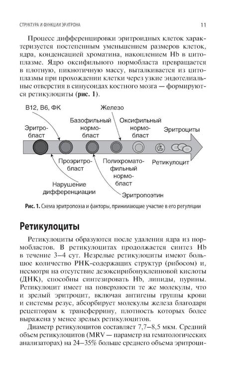 Дополнительное изображение книги «Интерпретация лабораторных исследований при анемиях»