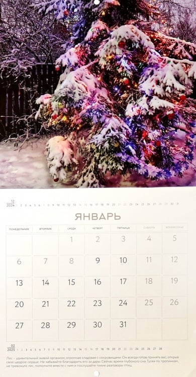 Дополнительное изображение книги «Календарь на 2025 год Наедине с природой»