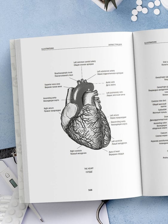 Дополнительное изображение книги «Англо-русский медицинский словарь с диалогами из клинической практики»