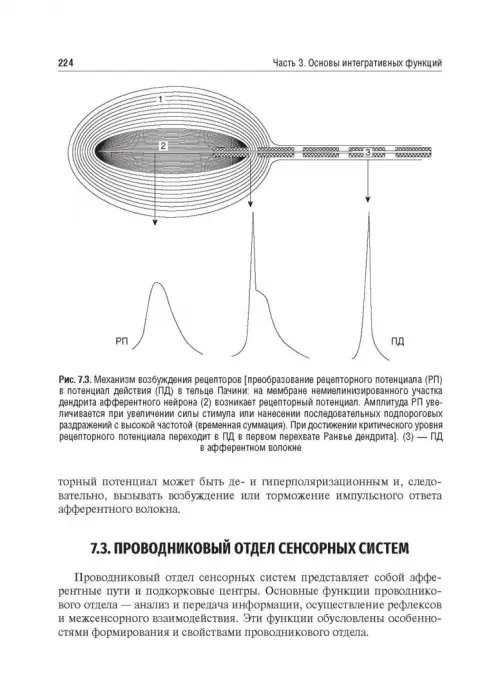 Дополнительное изображение книги «Нормальная физиология»