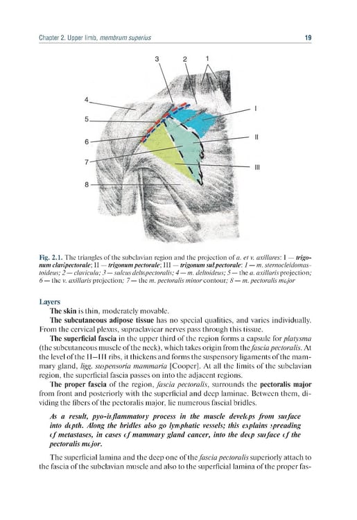 Дополнительное изображение книги «Topographic Anatomy and Operative Surgery: textbook: на англ.яз»