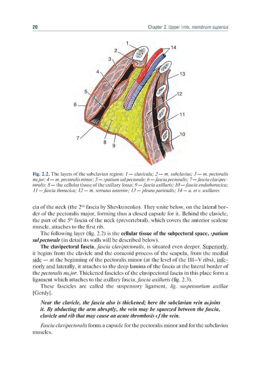 Дополнительное изображение книги «Topographic Anatomy and Operative Surgery: textbook: на англ.яз»