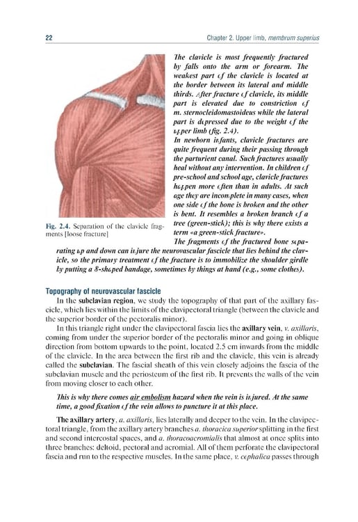 Дополнительное изображение книги «Topographic Anatomy and Operative Surgery: textbook: на англ.яз»