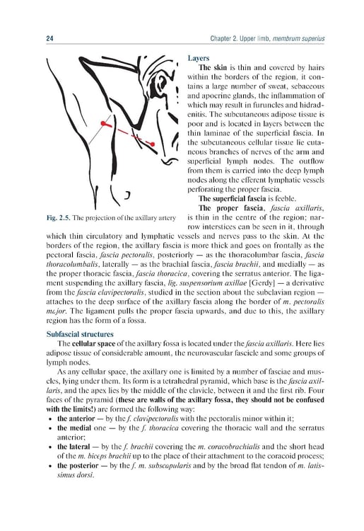 Дополнительное изображение книги «Topographic Anatomy and Operative Surgery: textbook: на англ.яз»