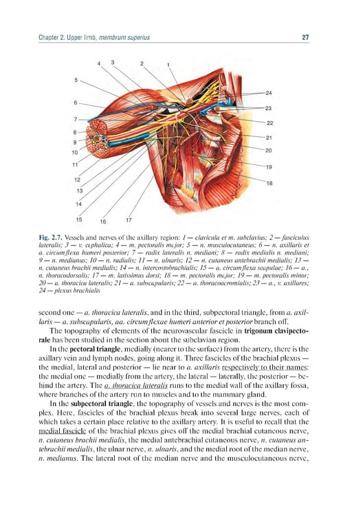 Дополнительное изображение книги «Topographic Anatomy and Operative Surgery: textbook: на англ.яз»