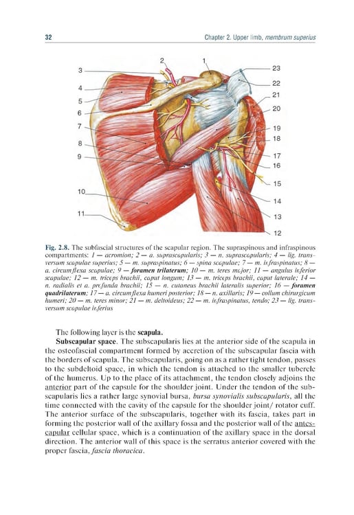 Дополнительное изображение книги «Topographic Anatomy and Operative Surgery: textbook: на англ.яз»