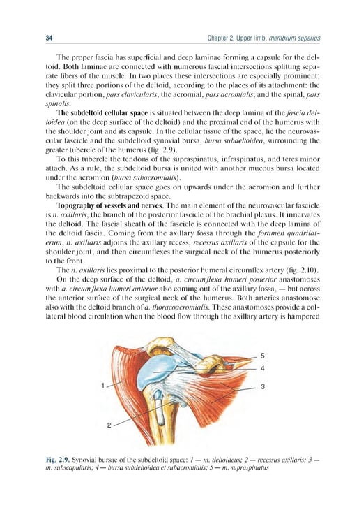 Дополнительное изображение книги «Topographic Anatomy and Operative Surgery: textbook: на англ.яз»
