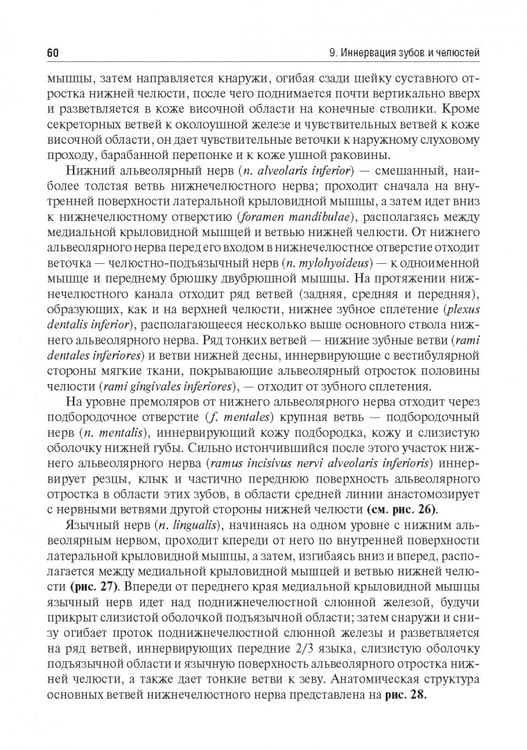 Дополнительное изображение книги «Местное обезболивание в стоматологии. Учебное пособие»