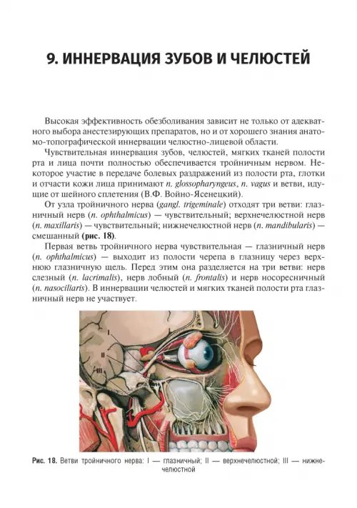 Дополнительное изображение книги «Местное обезболивание в стоматологии. Учебное пособие»