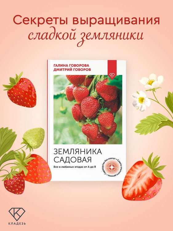 Дополнительное изображение книги «Земляника садовая. Все о любимых ягодах от А до Я»
