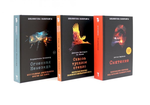 Обложка книги «Смятение; Сквозь тусклое стекло; Огненная Немезида (комплект из 3-х книг)» — Ле Фаню Джозеф Шеридан;Блэквуд Элджернон;Мейчен Артур, ISBN 9785521844784