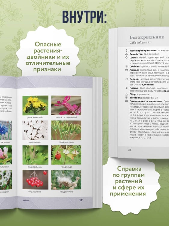 Дополнительное изображение книги «Лечебные травы. Иллюстрированный справочник-определитель»