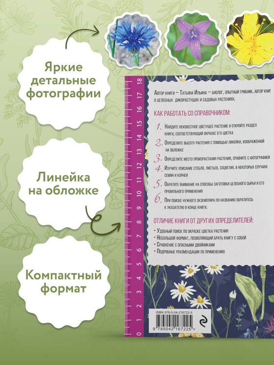 Дополнительное изображение книги «Лечебные травы. Иллюстрированный справочник-определитель»