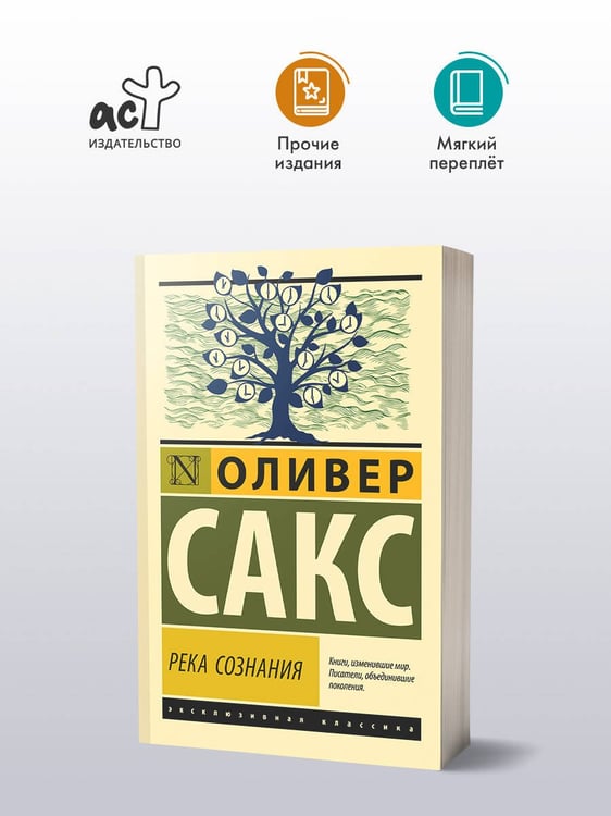 Дополнительное изображение книги «Река сознания»