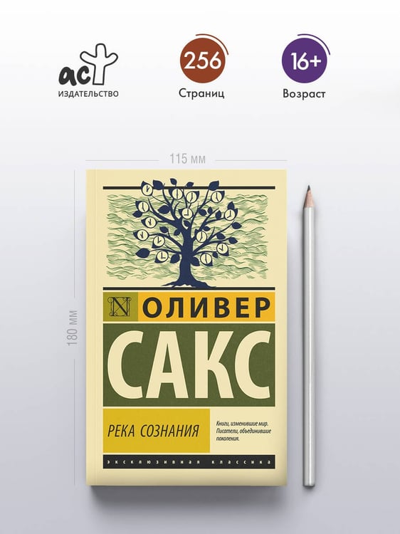 Дополнительное изображение книги «Река сознания»