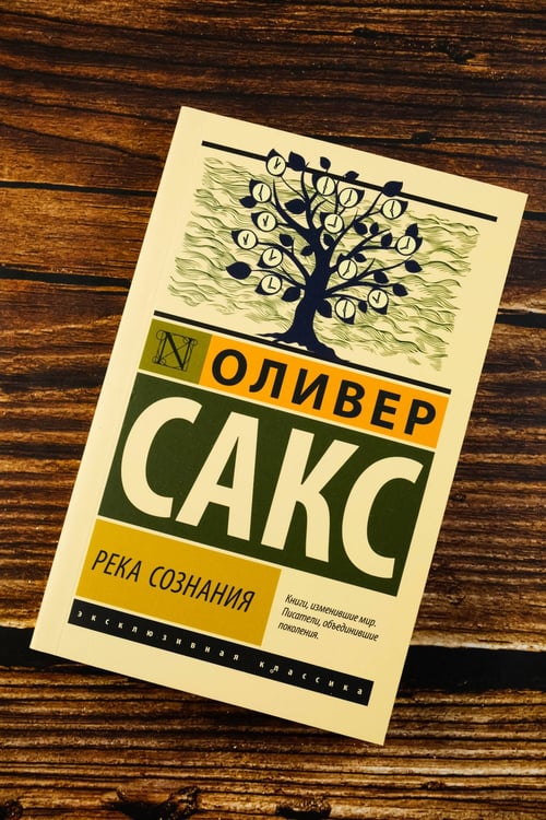 Дополнительное изображение книги «Река сознания»