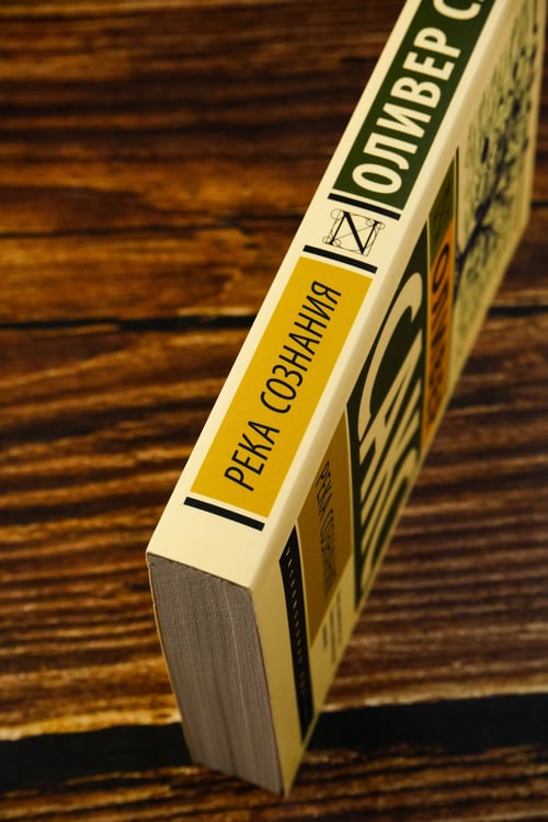Дополнительное изображение книги «Река сознания»
