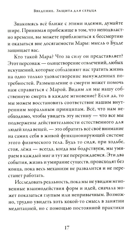 Дополнительное изображение книги «Непостоянство простыми словами. Освобождающее прозрение в природу вещей»