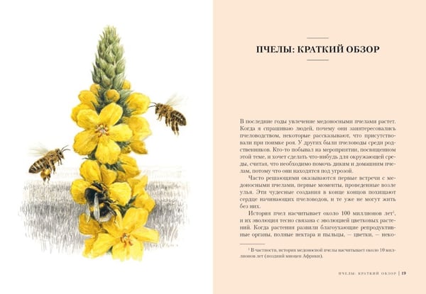 Дополнительное изображение книги «Наедине с природой (комплект из 3 кн. с шоппером)»