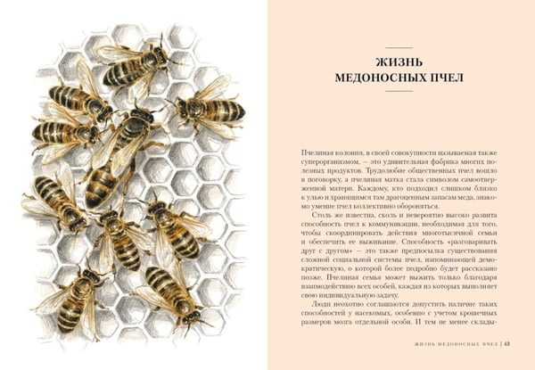 Дополнительное изображение книги «Наедине с природой (комплект из 3 кн. с шоппером)»