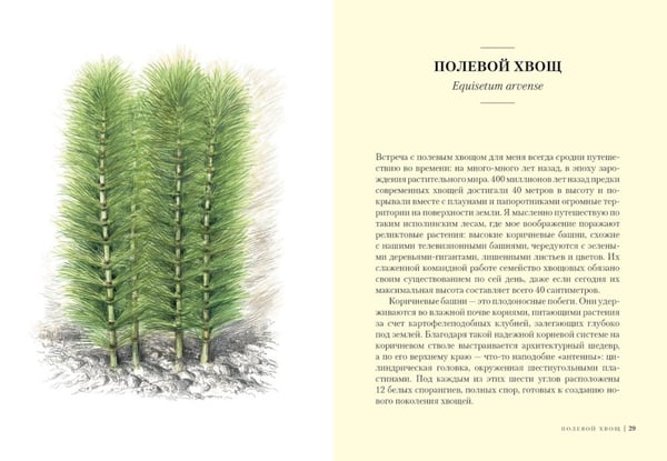 Дополнительное изображение книги «Наедине с природой (комплект из 3 кн. с шоппером)»