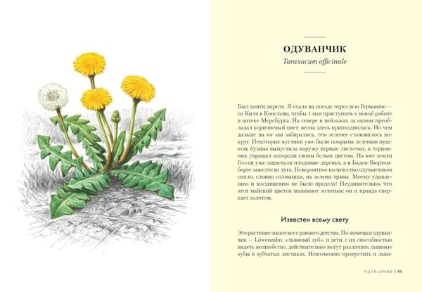 Дополнительное изображение книги «Наедине с природой (комплект из 3 кн. с шоппером)»