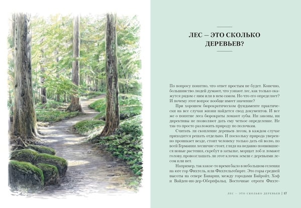 Дополнительное изображение книги «Наедине с природой (комплект из 3 кн. с шоппером)»