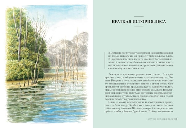 Дополнительное изображение книги «Наедине с природой (комплект из 3 кн. с шоппером)»