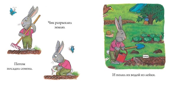 Дополнительное изображение книги «Чик и Брики. Пугливая улитка»