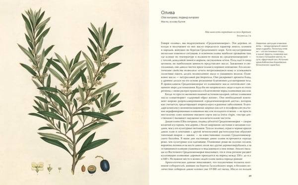 Дополнительное изображение книги «Выдающиеся растения, которые изменили нашу жизнь»