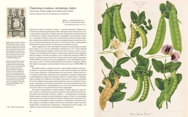Дополнительное изображение книги «Выдающиеся растения, которые изменили нашу жизнь»