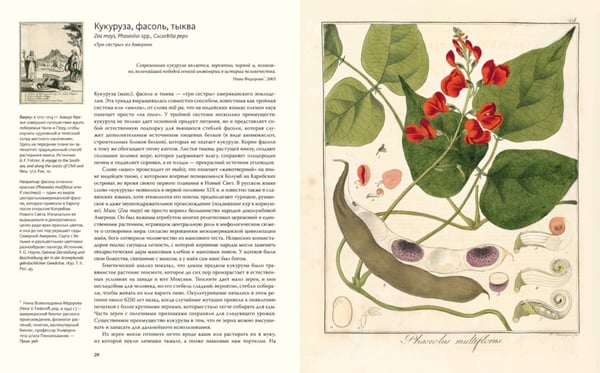 Дополнительное изображение книги «Выдающиеся растения, которые изменили нашу жизнь»