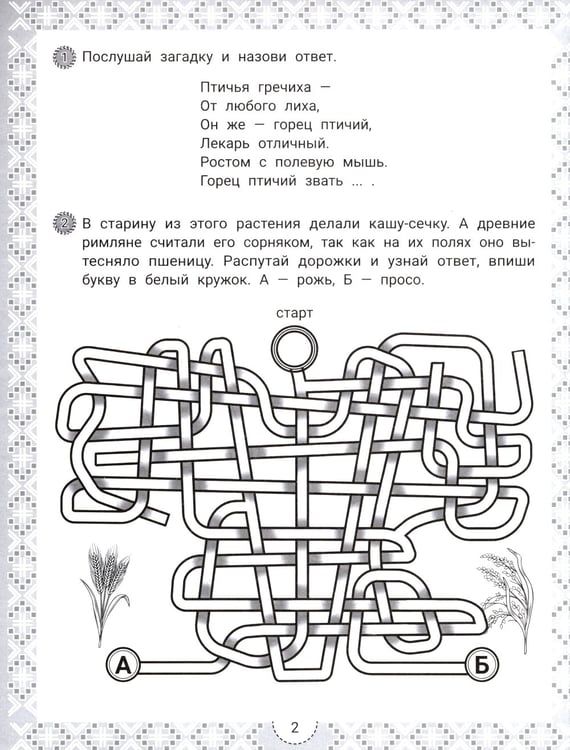 Дополнительное изображение книги «IQ-загадки и цветочные отгадки: 7+»