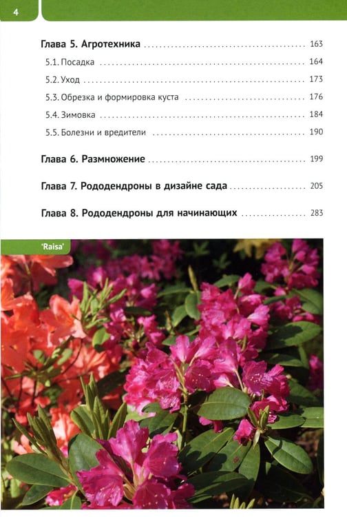 Дополнительное изображение книги «Рододендроны для Северо-Запада»