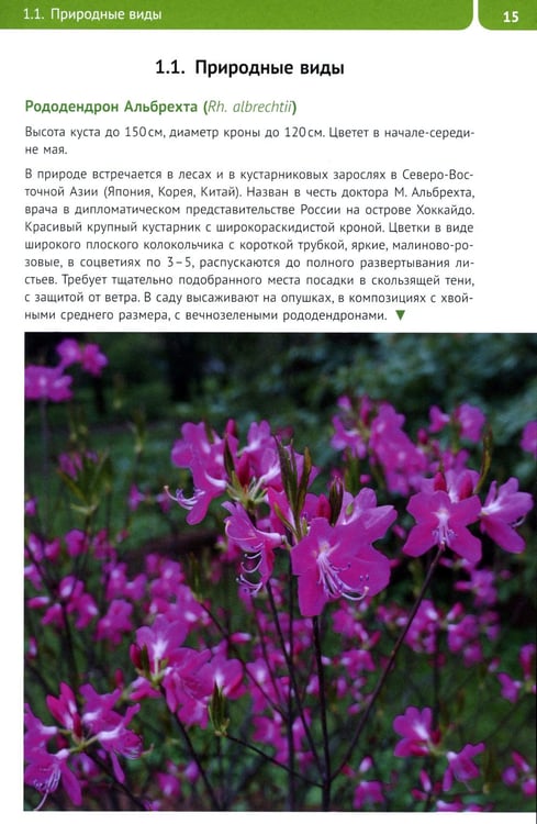 Дополнительное изображение книги «Рододендроны для Северо-Запада»
