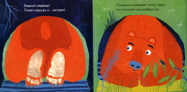 Дополнительное изображение книги «Бедный медведь»