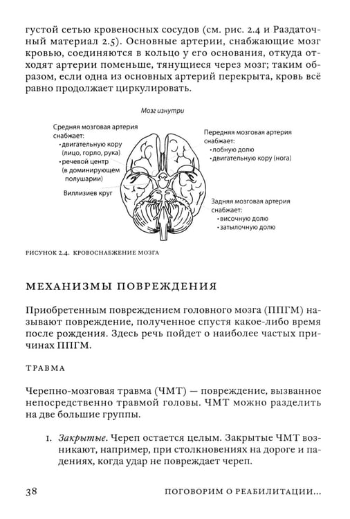 Дополнительное изображение книги «Поговорим о реабилитации при заболеваниях и травмах головного мозга. Пособие для специалистов»